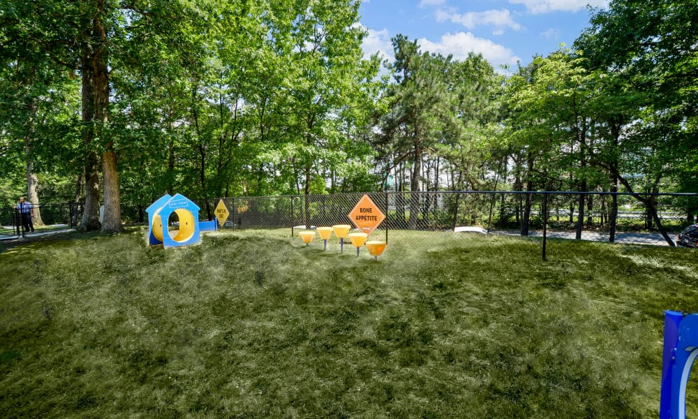 Cedar Creek Apartment Homes offers a dog park in Glen Burnie, MD