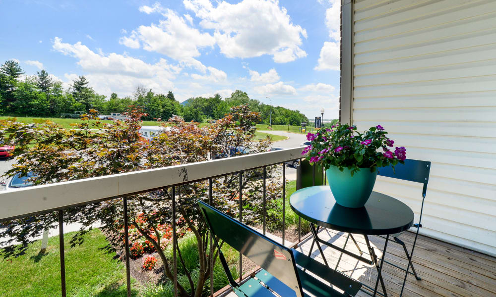 Balcony at Ross Ridge Apartment Homes in Baltimore, MD