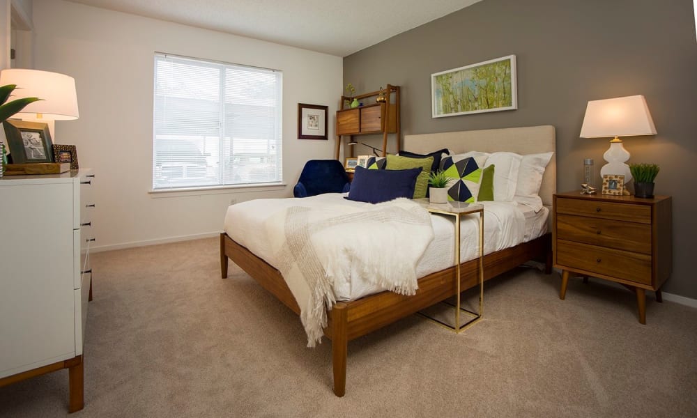 Large master bedroom with plush carpeting and a neutral color palette at Briar Cove Terrace Apartments in Ann Arbor, Michigan