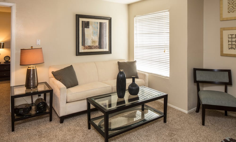 Our apartments in Arlington, TX offer a living room