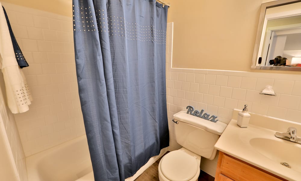 Bathroom at The Village of Chartleytowne Apartments & Townhomes