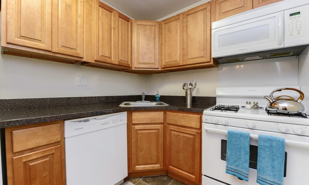 Model kitchen at Country Village Apartment Homes in Dover, Delaware.