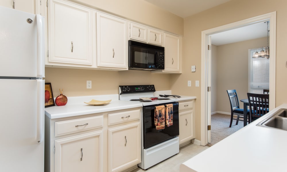 Apartments in Central Omaha, NE Regency Lakeside Apartment Homes