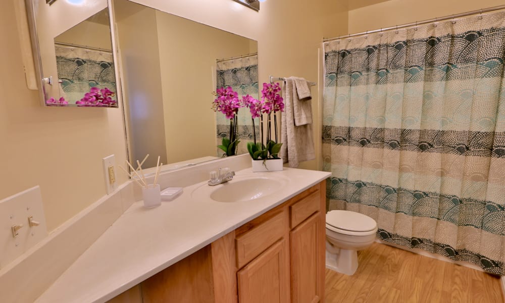 Bathroom at Apartments in Baltimore, Maryland