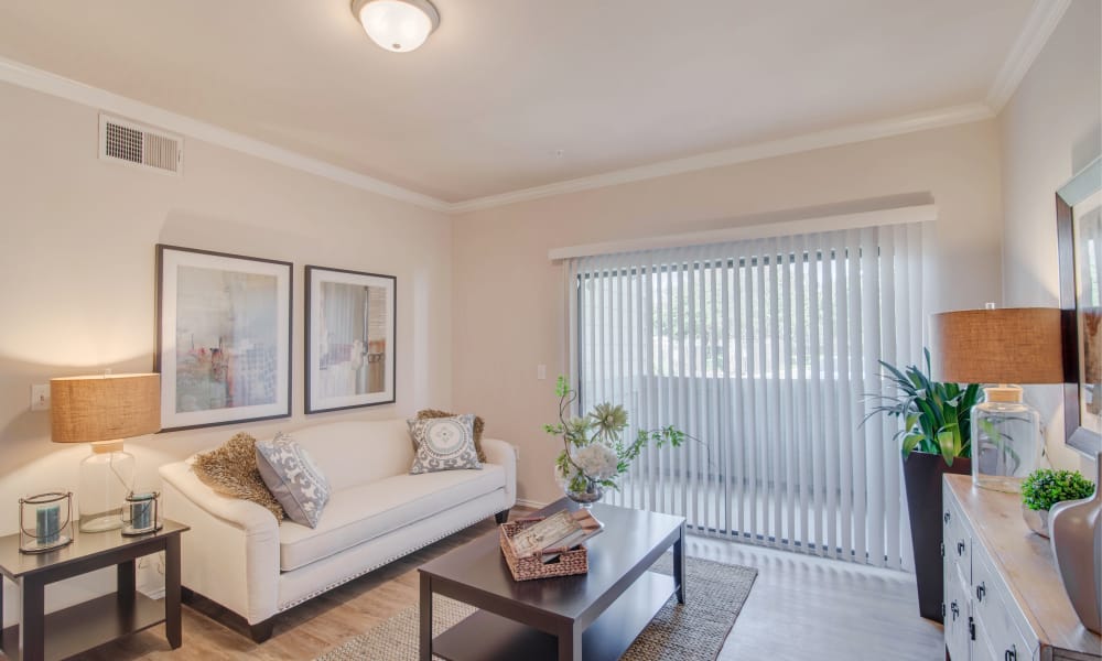 Thornbury Apartments offers a spacious living room in Houston, Texas