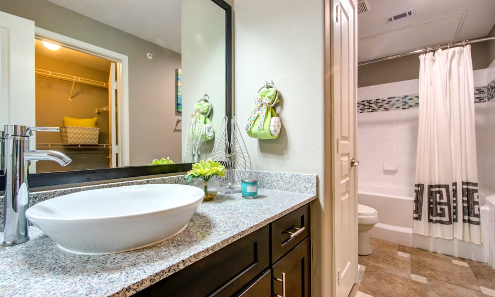 Photos Of The Niche Apartments In San Antonio Texas