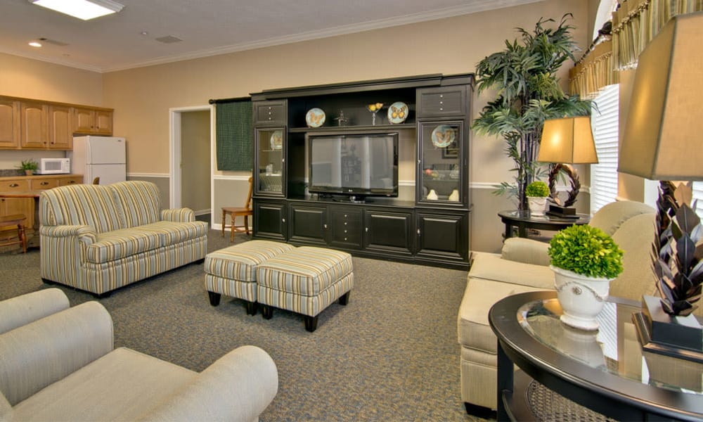 Entertainment room with comfortable seating at Harmony Hill in Huntingdon, Tennessee