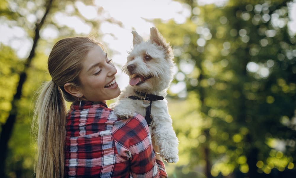 Resident and pet at Willowick Apartments in College Station, Texas