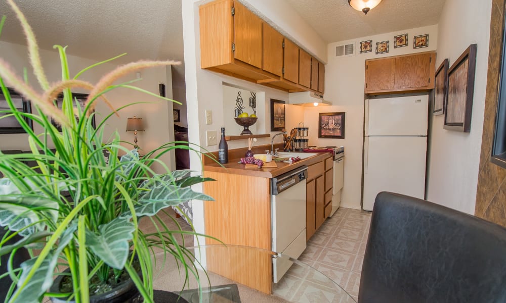 An apartment kitchen at Sunchase Ridgeland Apartments in Ridgeland, MS