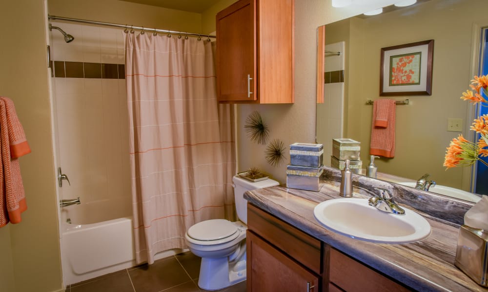 Clean bathroom at The Icon at Lubbock in Lubbock, Texas