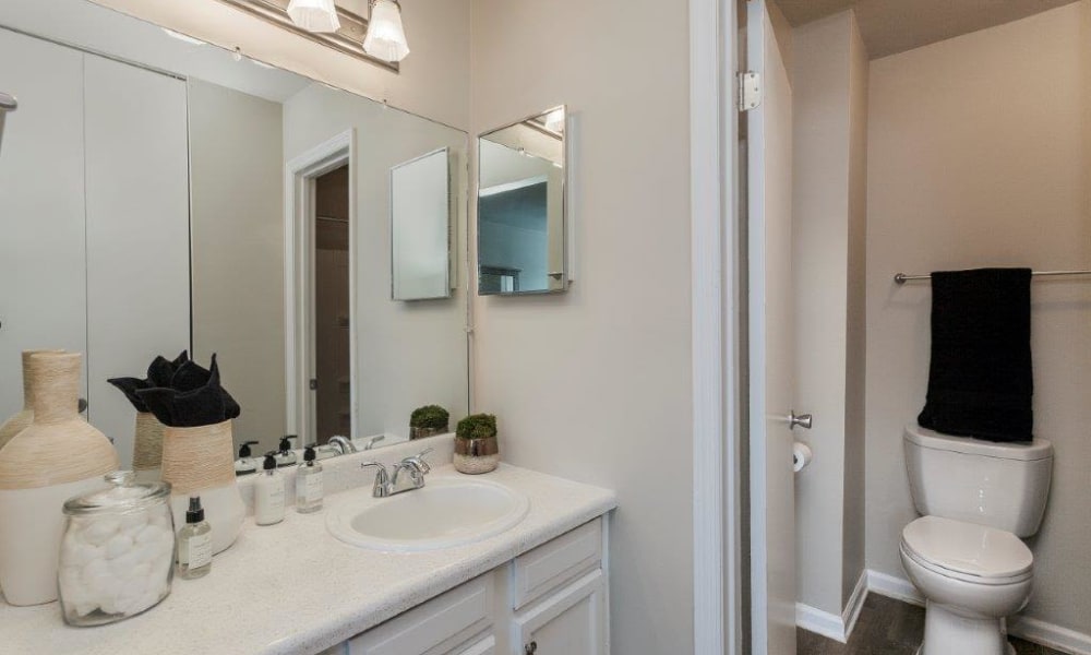Bathroom at Lincoya Bay Apartments & Townhomes in Nashville, Tennessee