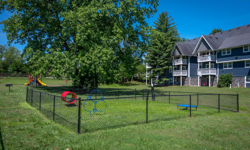 Dog friendly apartments at Mallards Landing Apartment Homes in Nashville, Tennessee