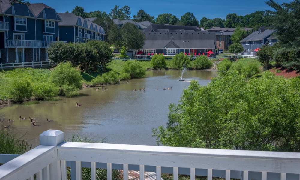 Balcony view at Mallards Landing Apartment Homes in Nashville, Tennessee