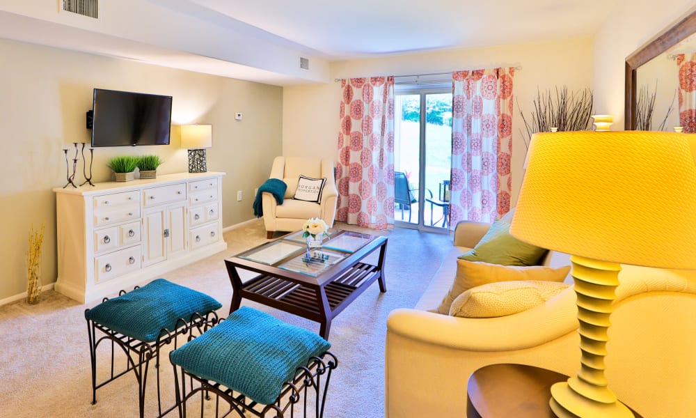 Enjoy Apartments with a Spacious Living Room at Lakewood Hills Apartments & Townhomes 
