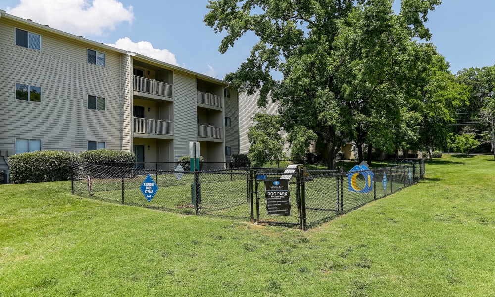 Enjoy Apartments with a Dog Park at Lincoya Bay Apartments & Townhomes
