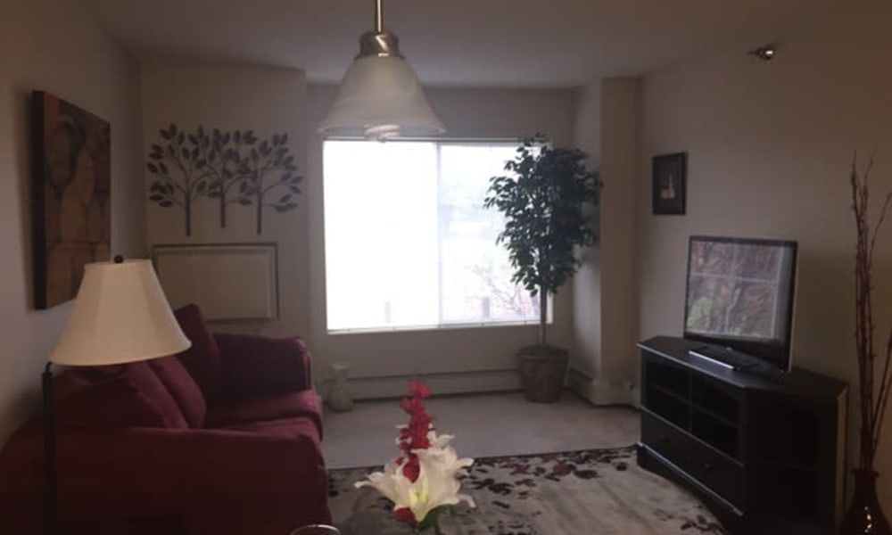 A living room with a large window at Parkway Gardens Senior Apartment Community in Saint Paul, Minnesota