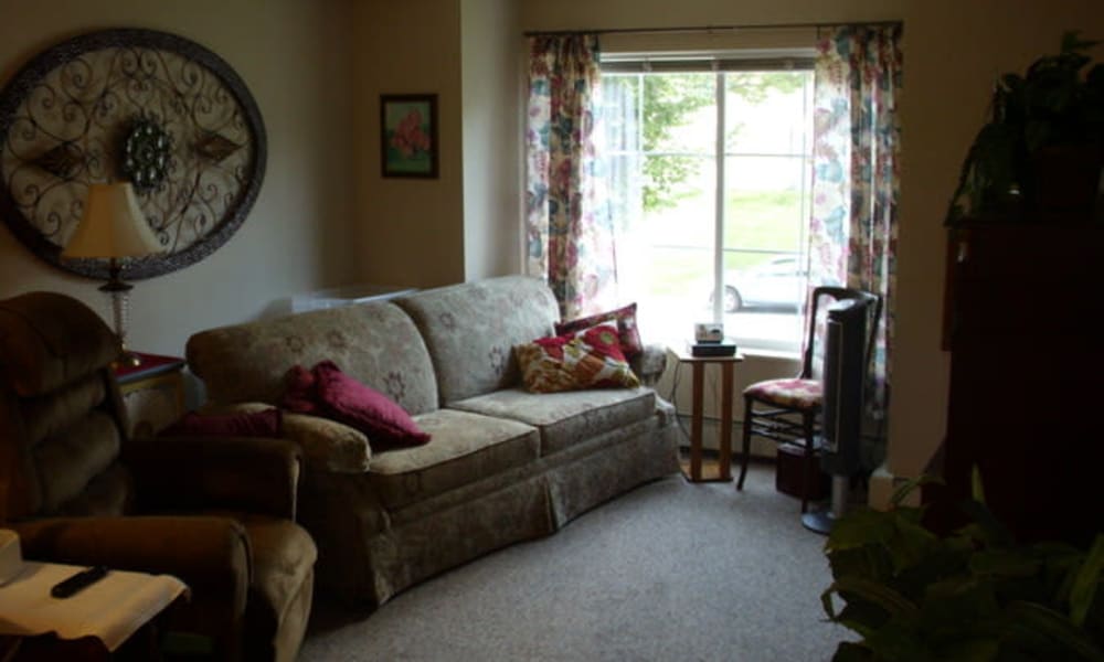 A living room with plush carpeting at Parkway Gardens Senior Apartment Community in Saint Paul, Minnesota