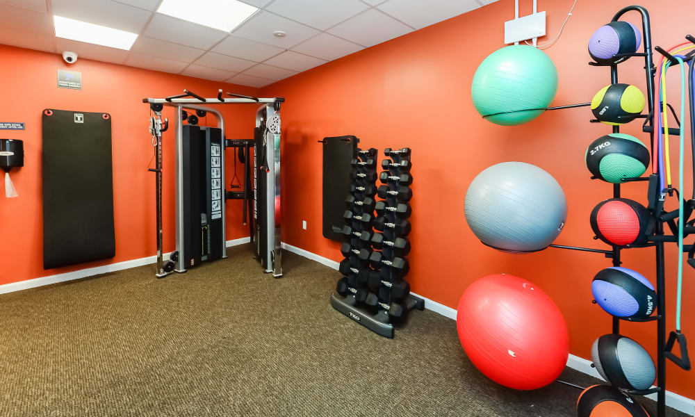 Our Apartments in Marlton, New Jersey offer a Gym