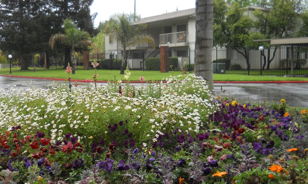 Beautiful gardens of our apartments at River Court Apartments in Sacramento, CA