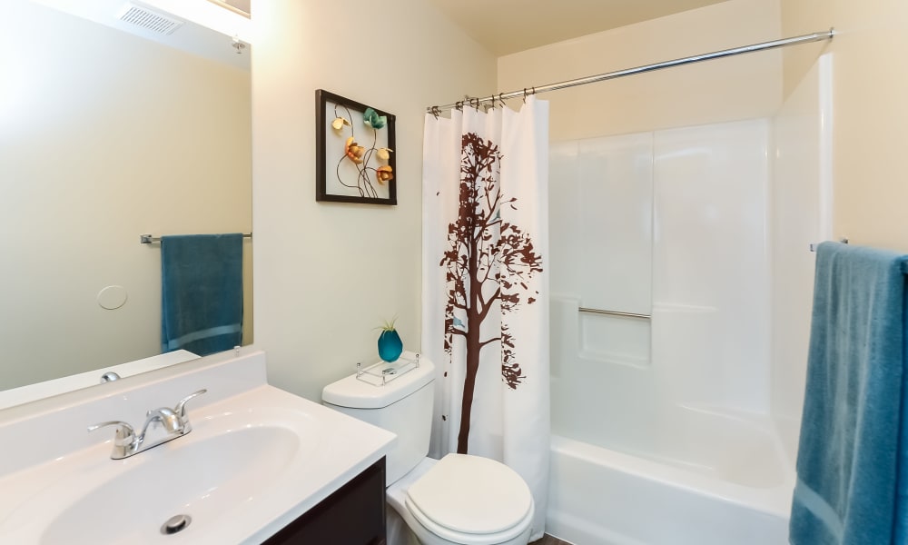Bathroom at Fox Run Apartments & Townhomes in Bear, DE