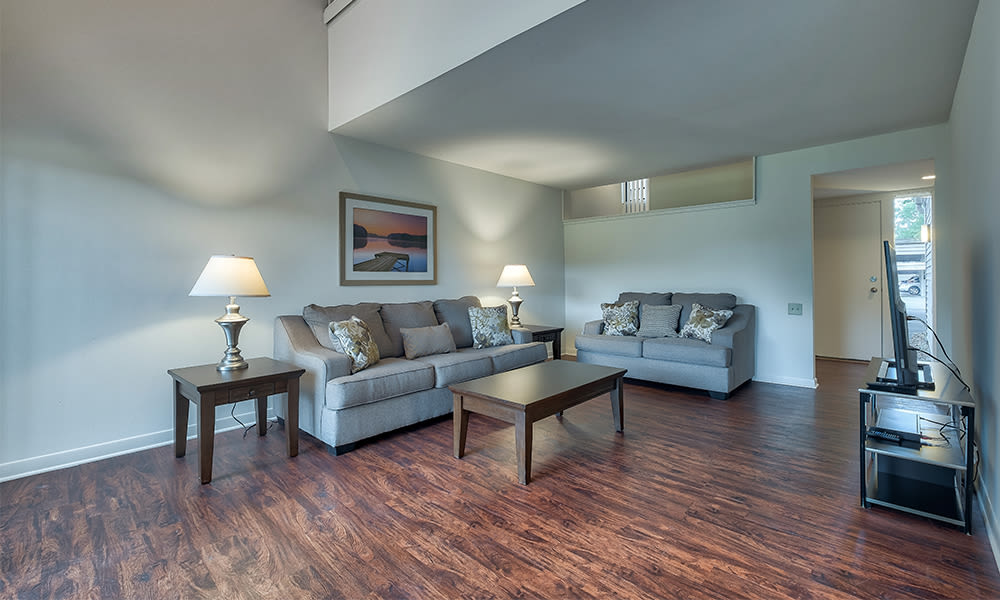 Spacious living room at Emerald Springs Apartments in Painted Post, New York