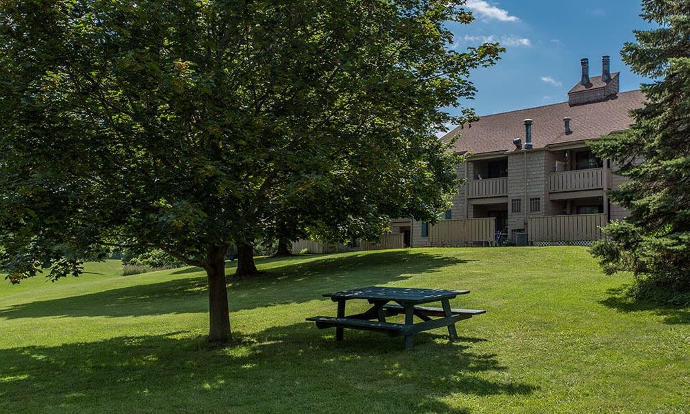Beautiful outside at Steeplechase Apartments in Camillus, New York