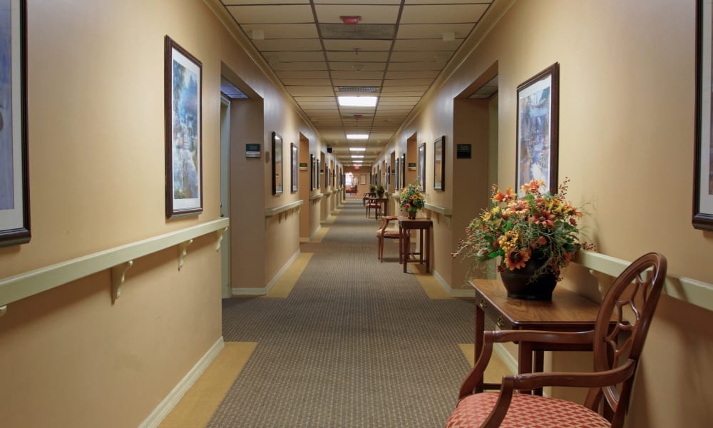 Assisted Living Pinellas Park, FL Bayside Terrace
