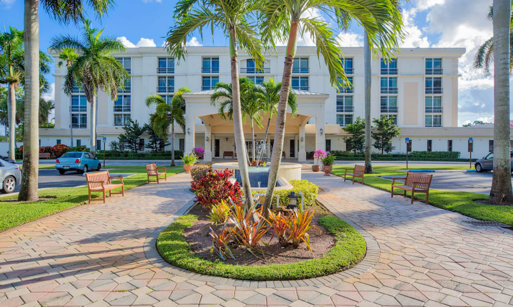 Palm trees outside of The Peninsula Assisted Living & Memory Care in Hollywood, Florida