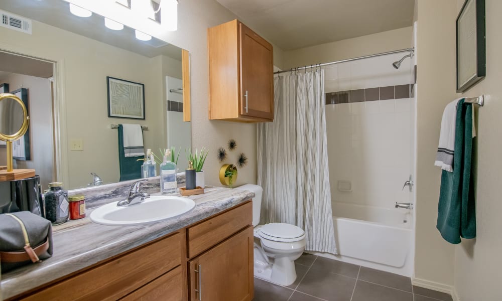 Large and bright bathroom with shower and tub combo at Icon at Norman in Norman, Oklahoma