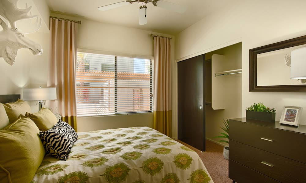 Photos of Cactus Forty-2 | Apartments in Phoenix, AZ