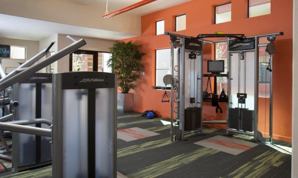 Plenty of exercise equipment to keep you in shape in the fitness center at Vive in Chandler, Arizona
