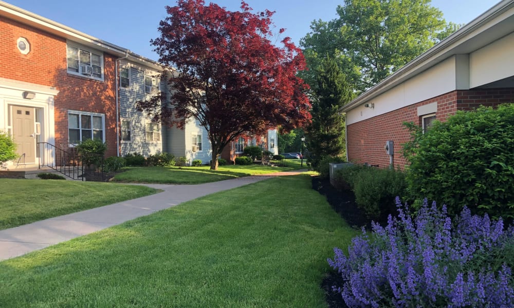 Photos of Rochester Highlands in Rochester, NY