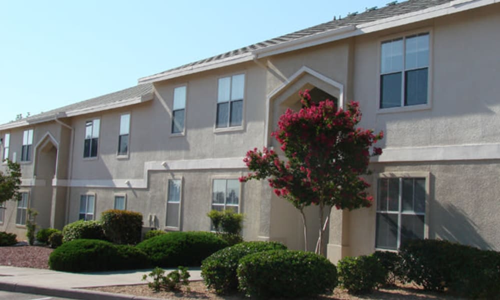 New Apartments Near Spur 408 for Simple Design