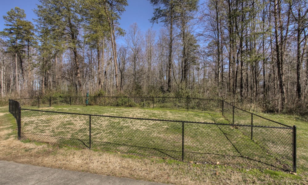 Onsite dog park with grass at Enclave at North Point Apartment Homes in Winston Salem, North Carolina