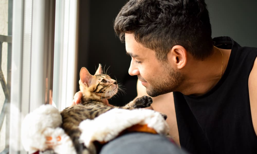 Resident petting his cat while relaxing on the couch at Oley Meadows in Oley, Pennsylvania