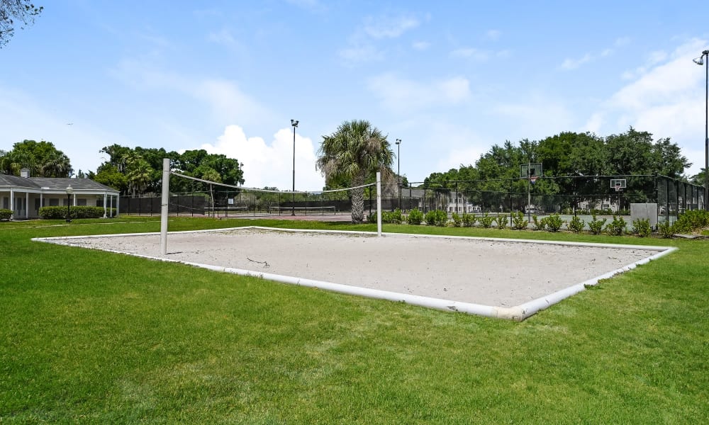 The Park At Lake Magdalene