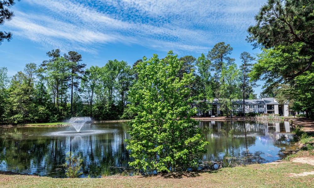 Enjoy Apartments with a Fishing Lake at Traditions at Augusta Apartment Homes in Augusta, Georgia