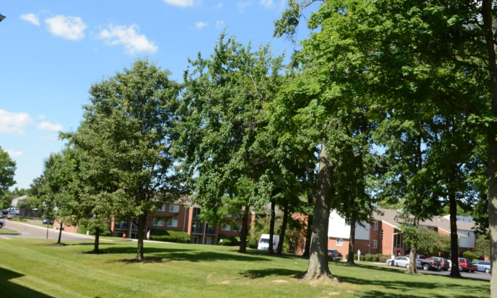 A beautifully manicured landscape at Woodmere Apartments in Cincinnati, Ohio