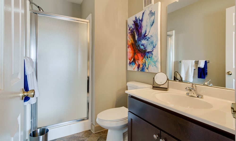 Bathroom amenities at Pavilion Court Apartment Homes in Novi, Michigan