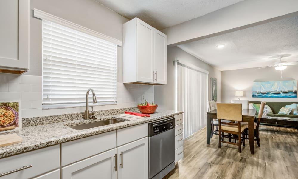 Seminole, FL Apartments near Maderia Beach Ridgeview