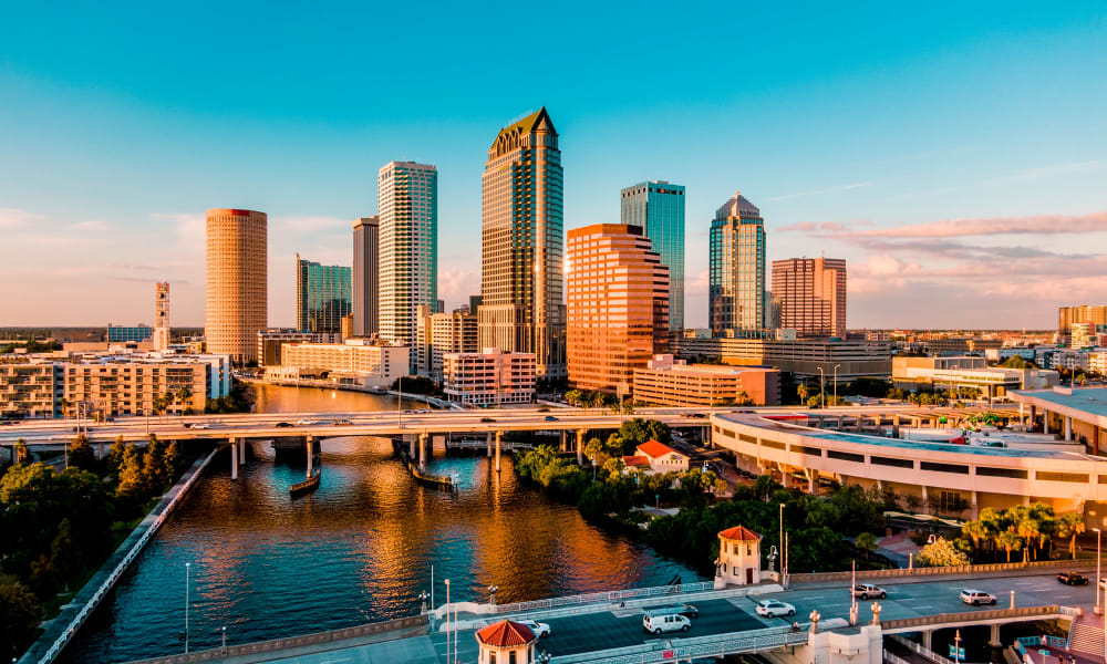 Amazing view of the city at dusk near The Ivy in Tampa, Florida