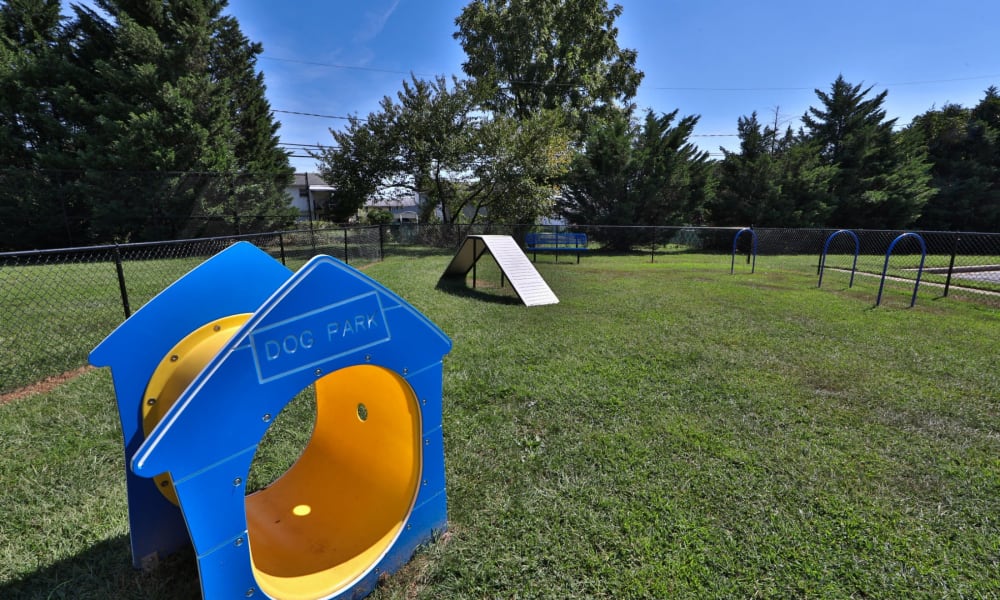 Dog park with agility equipment at Newcastle Apartments & Townhomes in Rochester, New York