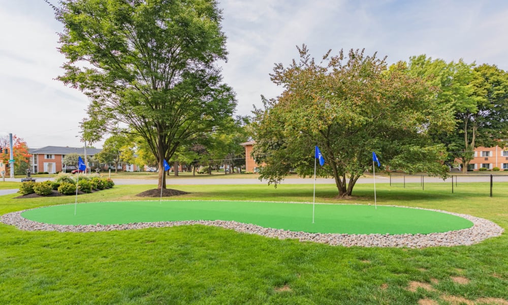 Putting green at Oak Hill Terrace in Rochester, New York