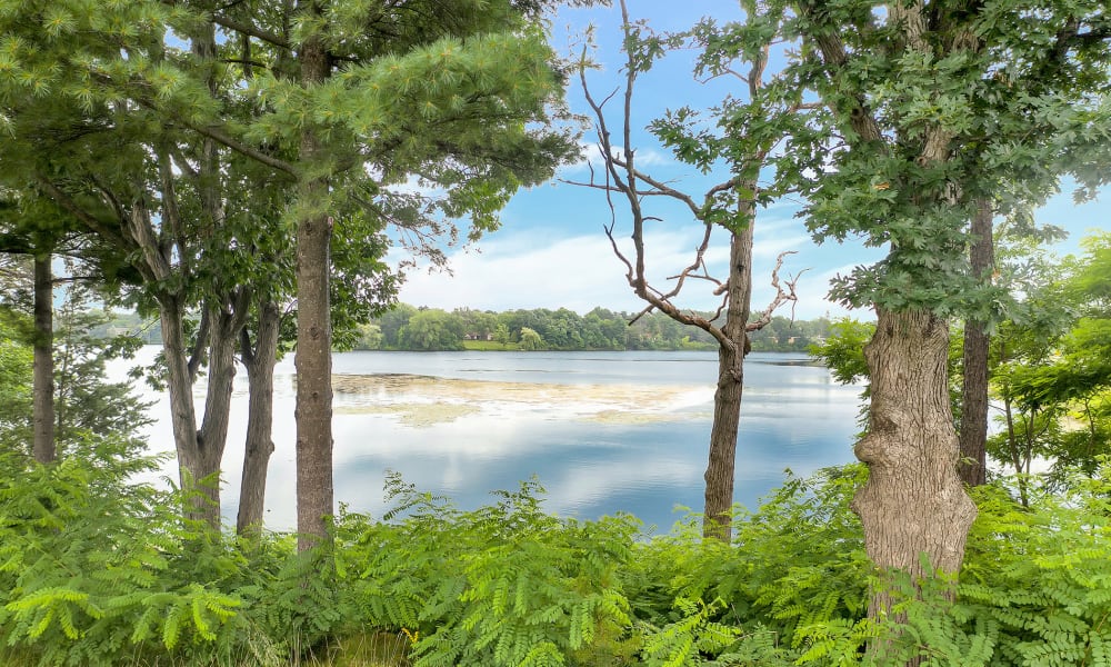 Pond view at Wellington Place at Whiting in Stevens Point, Wisconsin