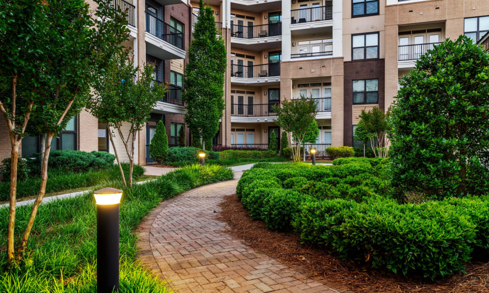 Walkway and lush landscaping at Reserve Decatur | Luxury Apartments in Decatur, Georgia