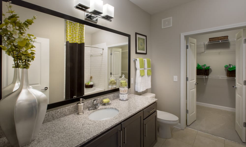 Bathroom and walk-in closet at Reserve Decatur | Luxury Apartments in Decatur, Georgia