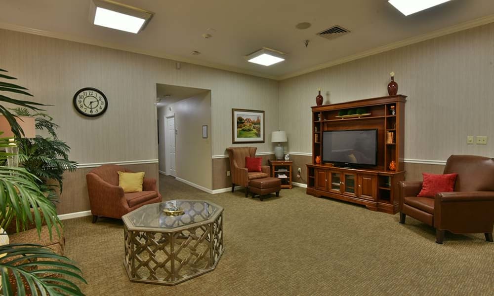 Living Room and Television Lounge at Henley Place in Neosho, Missouri