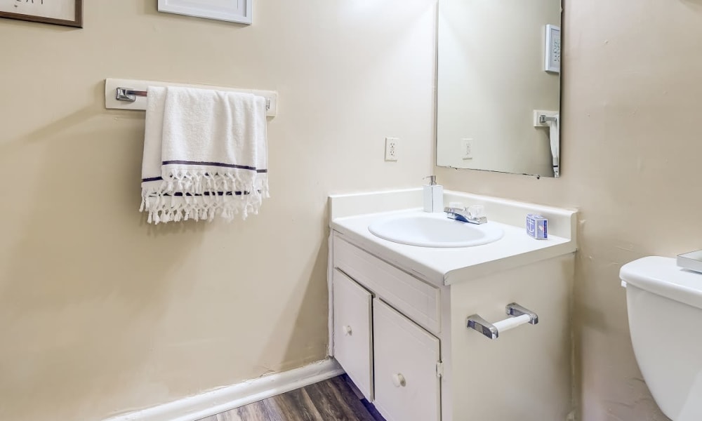 Bathroom at Forestbrook Apartments & Townhomes in West Columbia, South Carolina