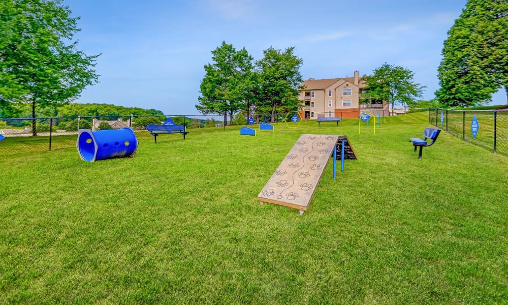 Dog park and obstacle course at Club at North Hills in Pittsburgh, Pennsylvania