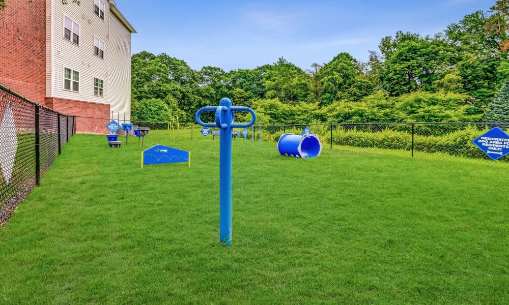 Pet friendly apartments with an onsite dog park located at Marquis Place in Murrysville, Pennsylvania